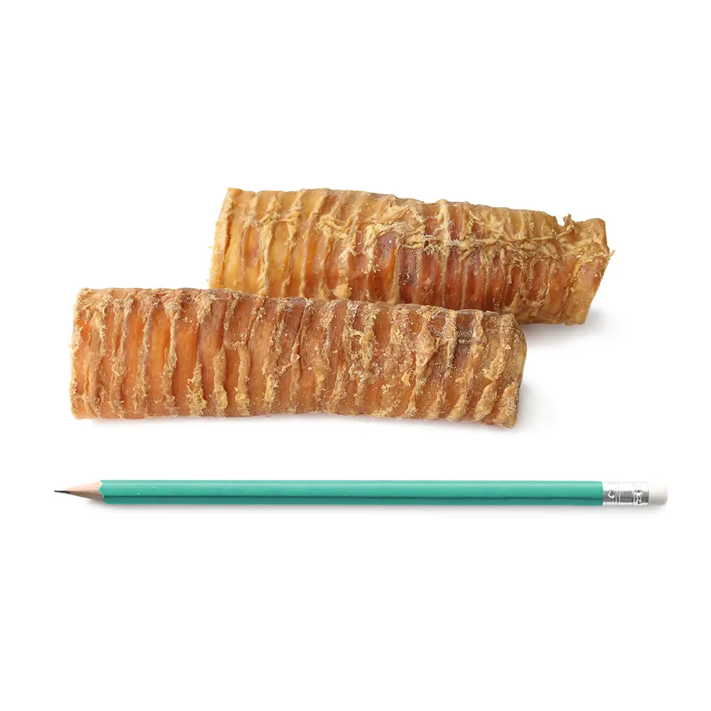 Dog chewing 6 inch beef trachea stick natural glucosamine treat