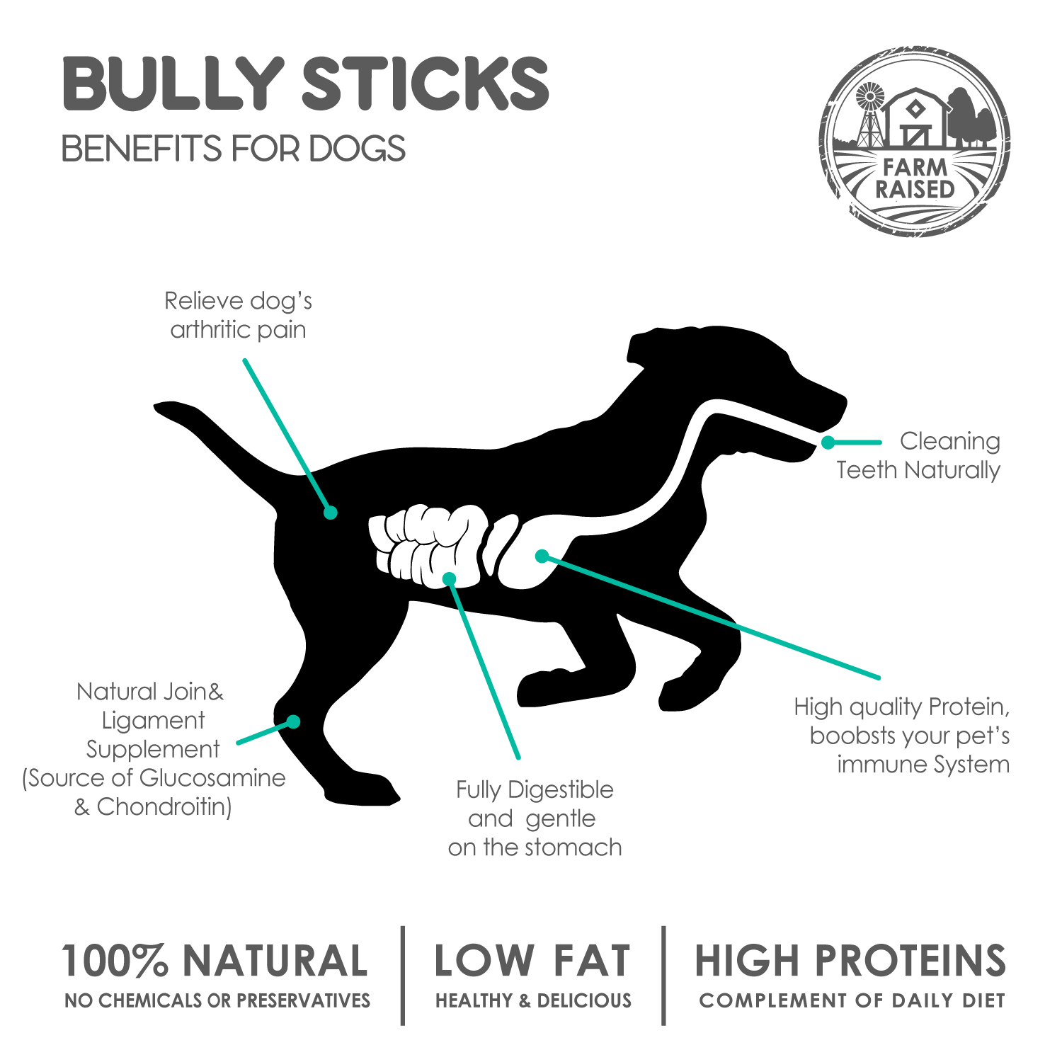 12" Braided Bully Sticks Wholesale | Case of 25 - Image 7