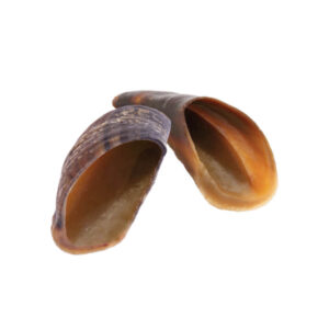 Cow Hooves - Plain
